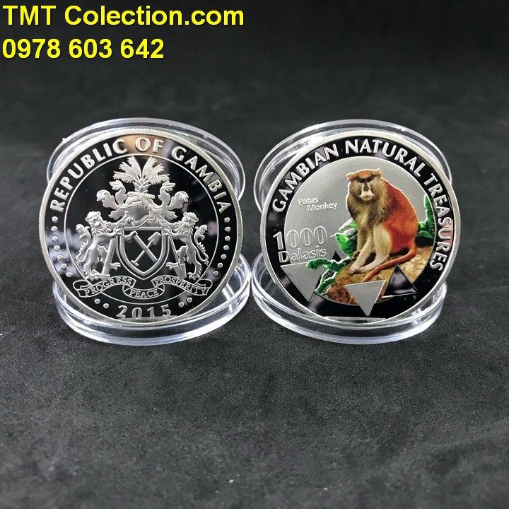 Xu hình con Khỉ Gambia 1000 Dalasis 2015 dùng trưng bày trong nhà, trên bàn sách, quà tặng - TMT Collection - SP005213