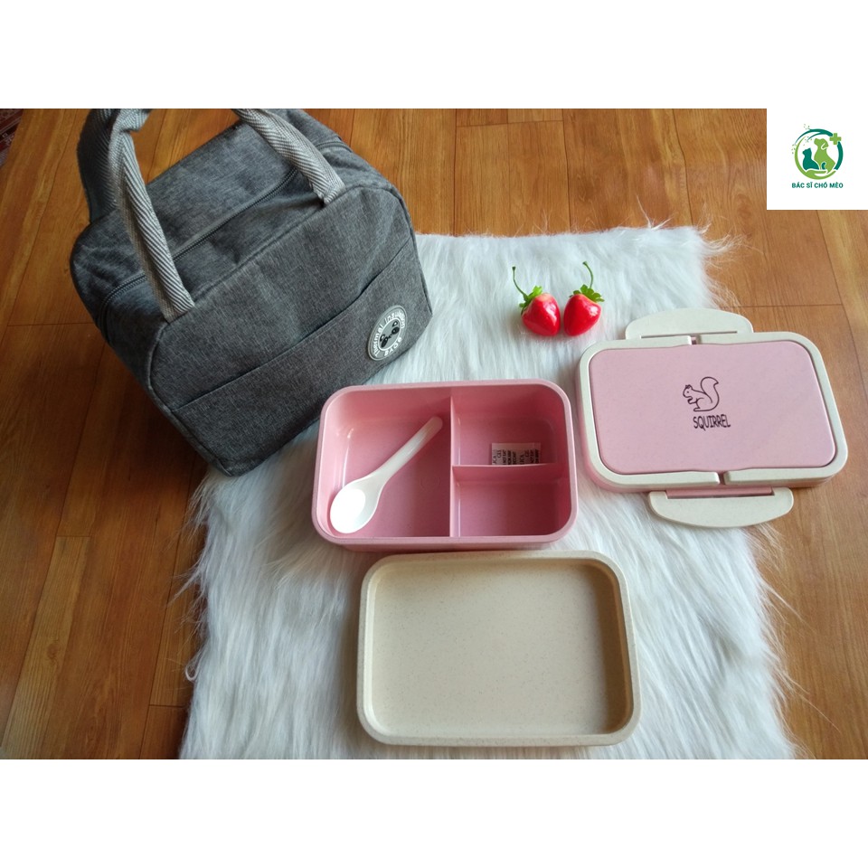 [HÌNH THẬT] Hộp cơm Văn Phòng Bento Hàn Quốc xinh xắn cam kết 100% y hình