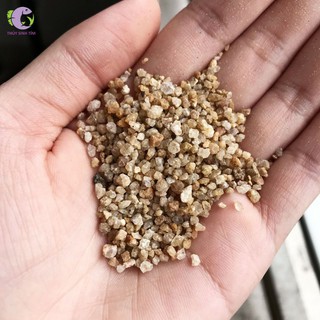 Sỏi nắng vàng trải nền hồ cá