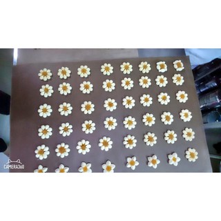 Bánh cookie