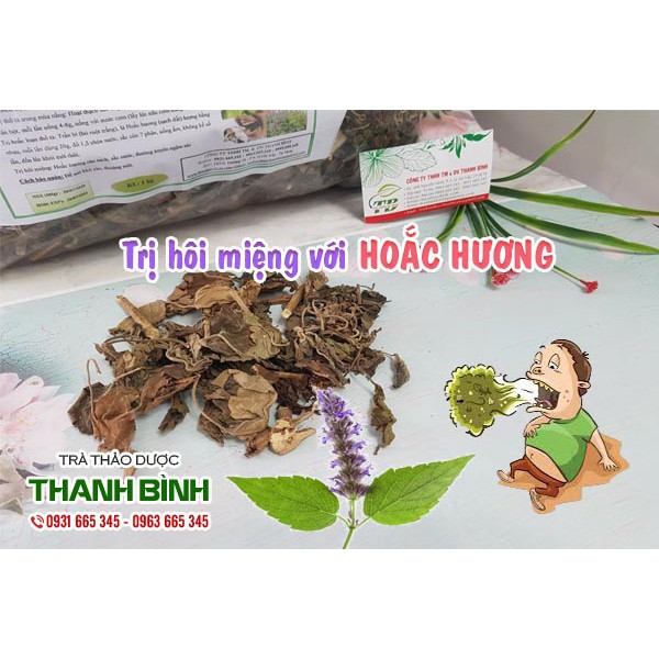 Hoắc Hương 1kg Hàng Công Ty - Dược Liệu Thanh Bình