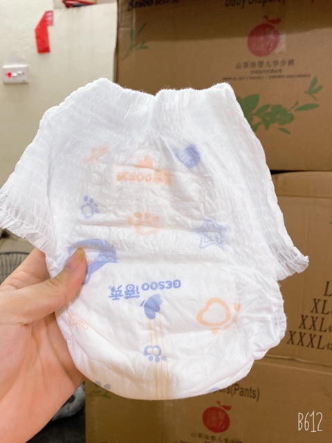 HÀNG CHÍNH NGẠCH BỈM BESOO SƠN TRÀ DÁN QUẦN S56/M50/L46
