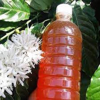 1 Lít Mật ong tự nhiên nguyên chất hoa cà phê chuẩn Đăk Lăk
