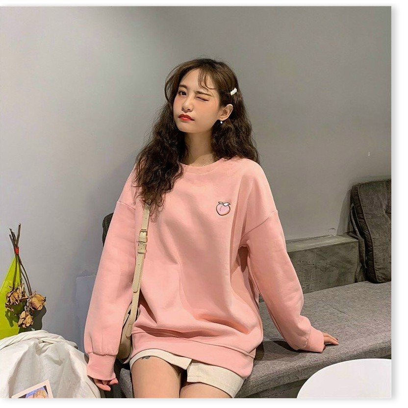 [FREE SHIP TOÀN QUỐC] ÁO THUN NỮ SWEATER TAY DÀI THUN NỈ PE FORM RỘNG THÊU TRÁI CÂY CỰC XINH