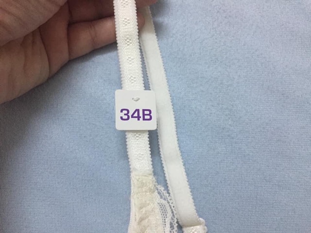 Áo lót mút mỏng Ibasic size 34B ( Mã số : 14.3 ) | BigBuy360 - bigbuy360.vn