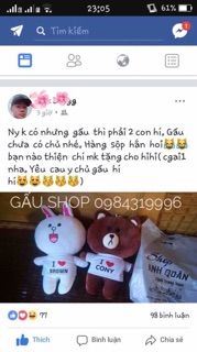 - cặp đôi Brown và thỏ