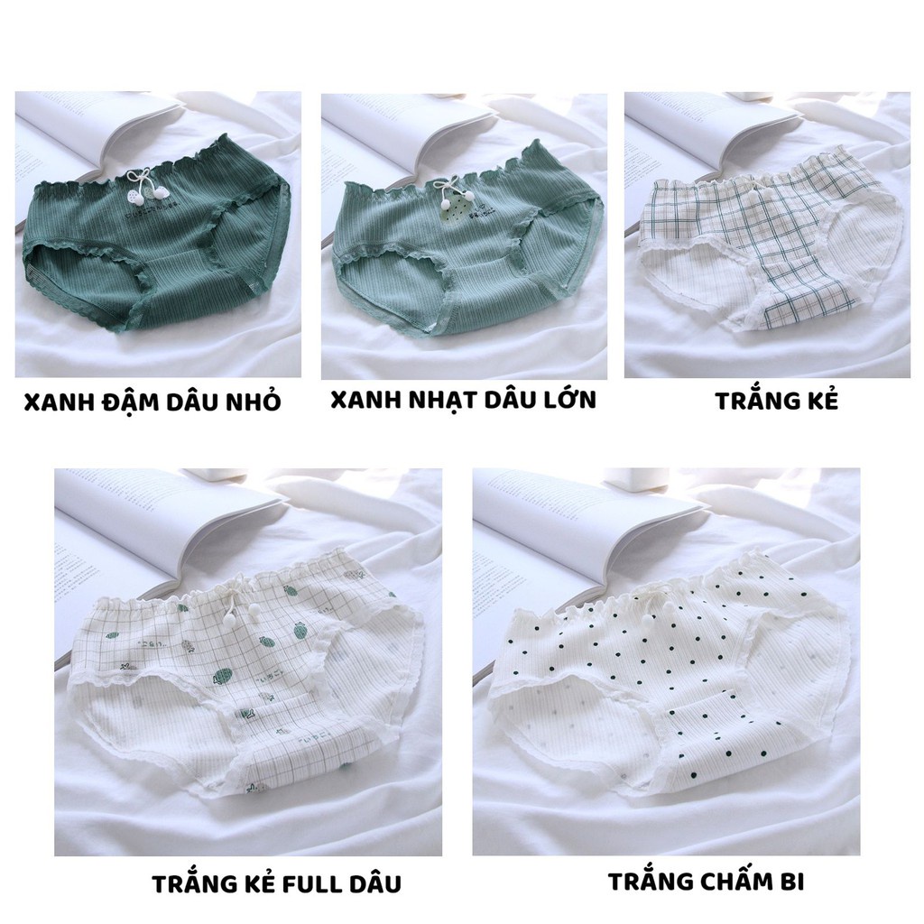 Quần Lót Nữ Cotton ❤️FREESHIP❤️ Set Cotton gân tăm viền ren tông xanh mát dịu mẫu 3778