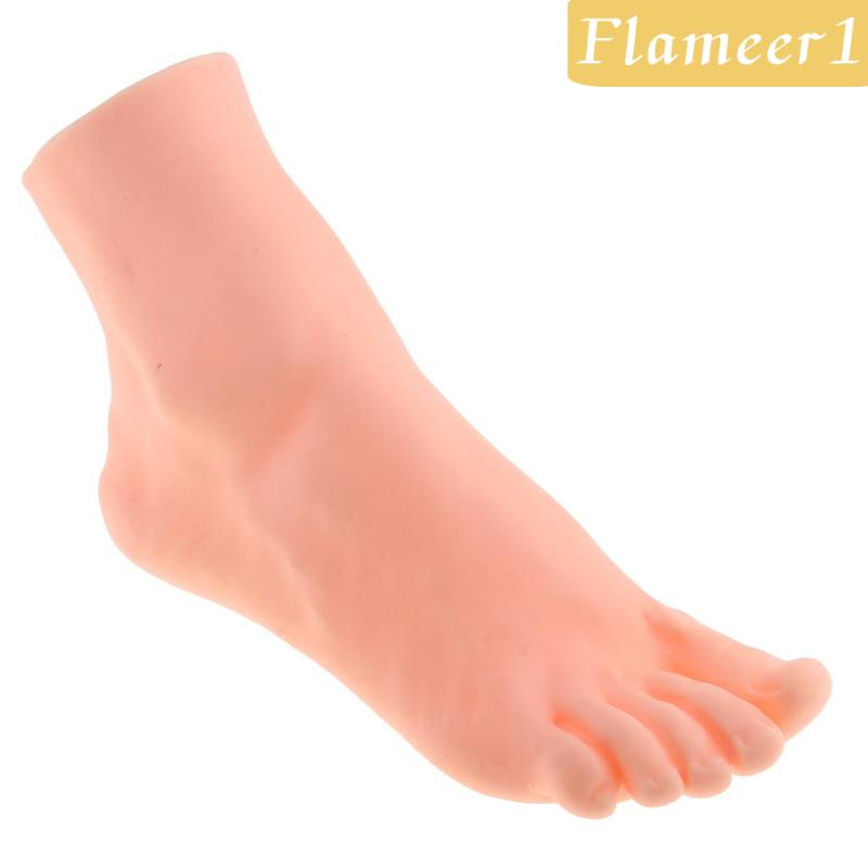 [Flameameer1] Chân Ma Nơ Canh Cao Su Trưng Bày Mô Hình Bàn Chân Phải Sống Động