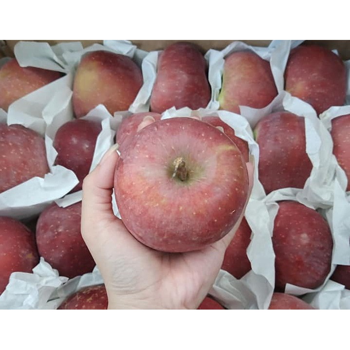 Táo Đá Ngọt Giòn Giao Siêu Tốc 1h