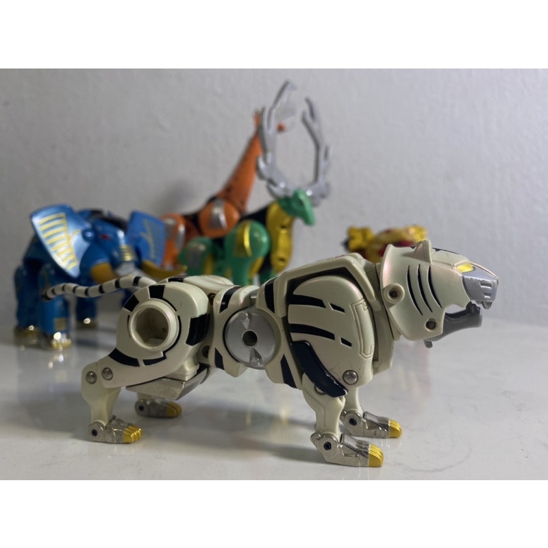 DX Gao Cọp Trắng