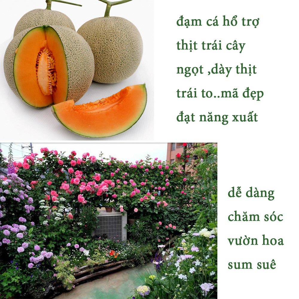 1 Lít - Dịch đạm cá nước ngọt cô đặc DH, an toàn cho hệ sinh thái-76124