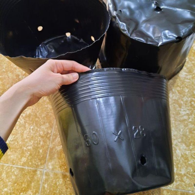 1kg Bầu ươm cây đủ các kích cỡ hàng đẹp