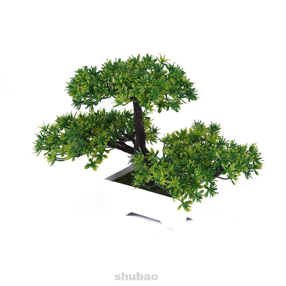 Cây Bonsai Giả Để Bàn Trang Trí