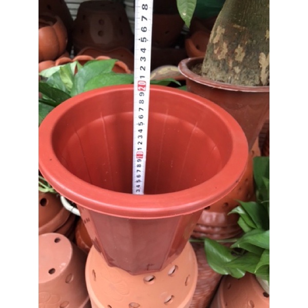 🌱Giá sỉ🌱 Chậu nhựa đỏ tròn dáng cao E260-E350 trồng hoa, cây cảnh