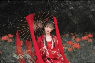 ❤️❤️❤️Củ   Hoa bỉ ngạn ❤️❤️