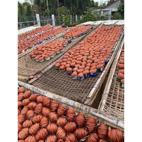[HỎA TỐC SG] Hủ tiếu gạo lứt Sa Đéc dai ngon bổ dưỡng 1kg