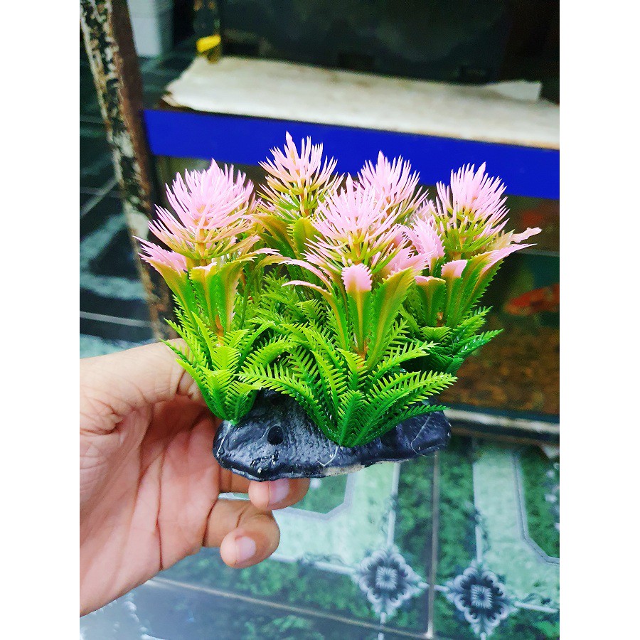 RONG TRANG TRÍ HỒ CÁ NON BỘ CAO 10CM