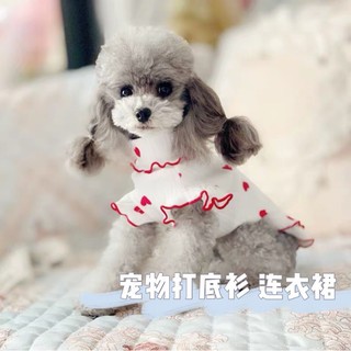 Áo lọ cho chó mèo
