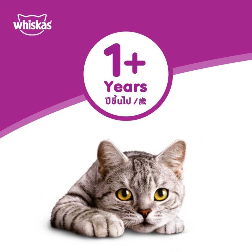 Combo 12 túi Pate WHISKAS® cho Mèo Lớn vị Cá Saba túi 80g