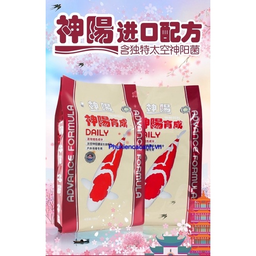 Thức ăn cá Koi Hikari Daily