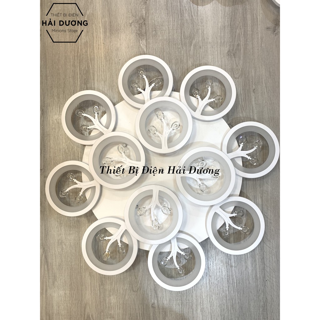 Đèn Ốp Trần Hiện Đại Decor 12 Hoa Pha Lê NT031 - 3 Chế Độ Ánh Sáng - Tăng Giảm Ánh Sáng - Hẹn Giờ Ngủ - Điều Khiển Từ Xa