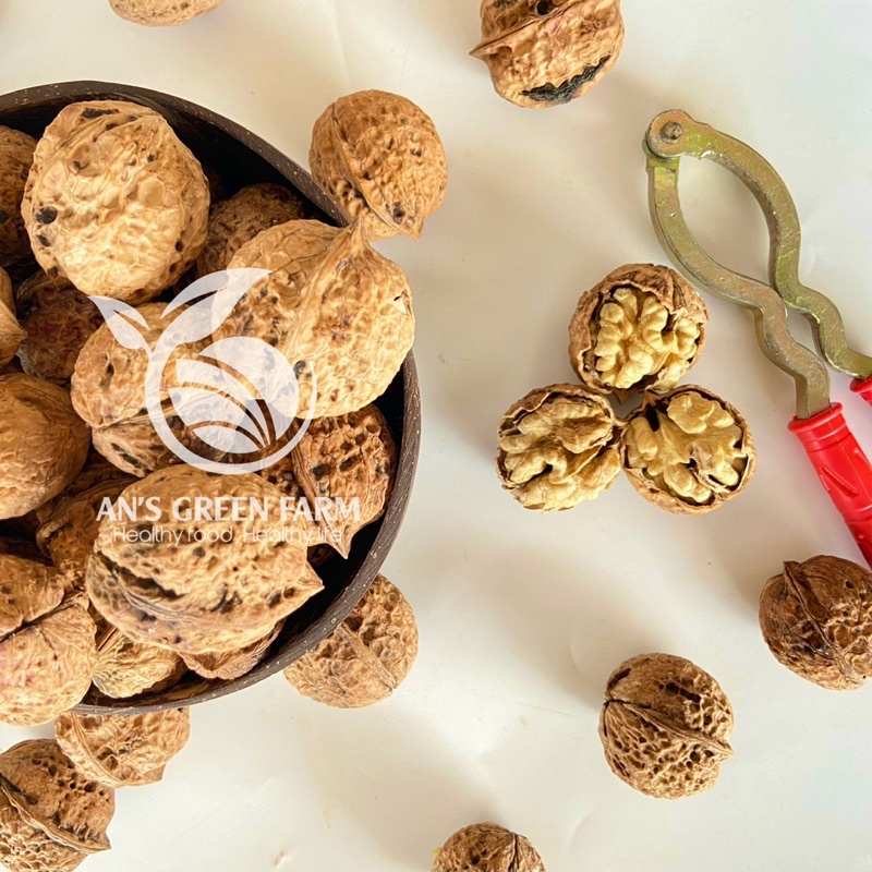 Nhân Óc Chó Nếp Hà Giang 500gr  Đã Tách Vỏ - An’s Green Farm