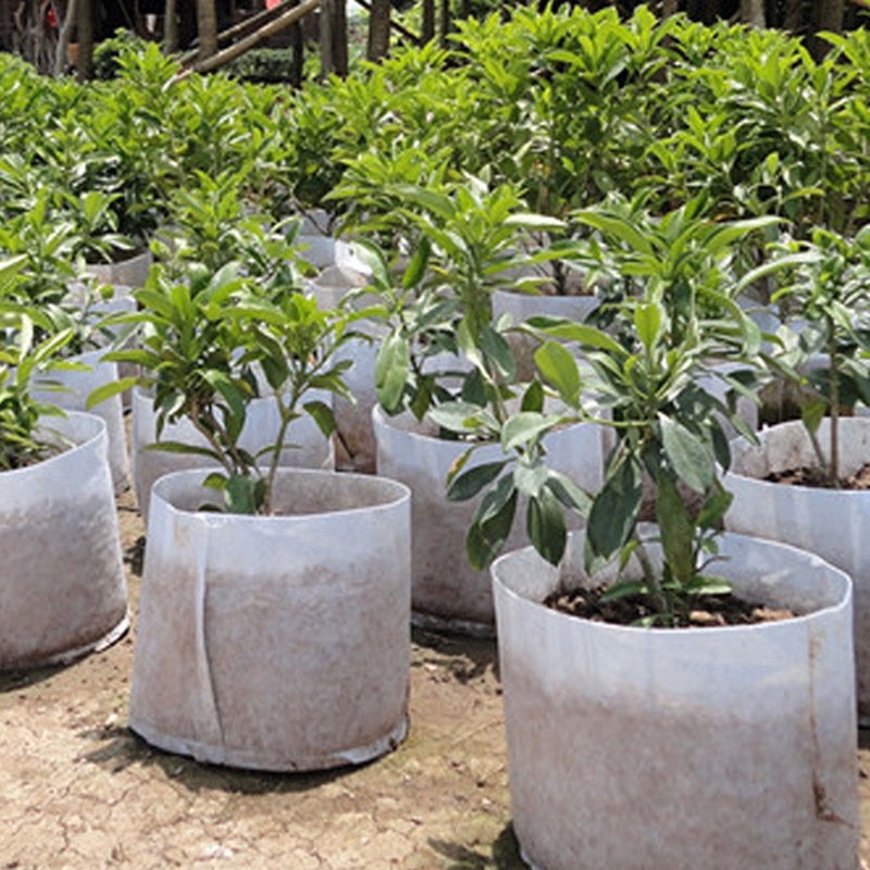 ✬Star✩5 Size Round Fabric Pots Plant Pouch Root Container Grow Bag Aeration Container For Garden