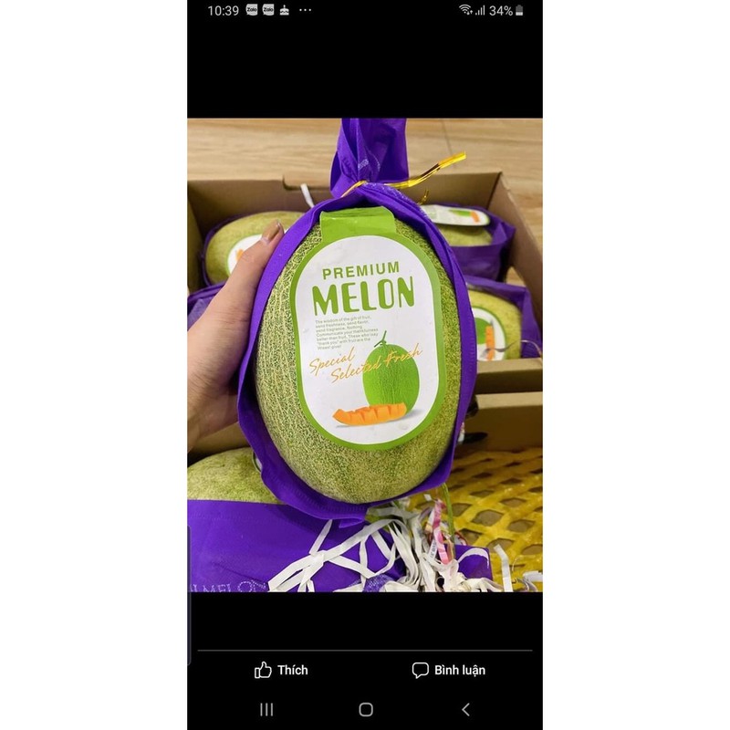 Dưa lưới Melon 1,5kg