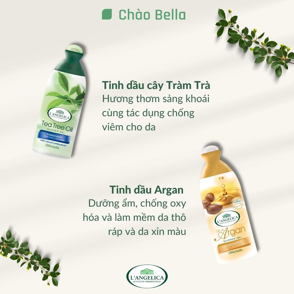 Sữa Tắm Thảo Dược Cao Cấp Ý L'angelica (Dầu Argan &amp; Cây Trà) | Trắng Da, Dưỡng Ẩm, Ngăn Ngừa Lão Hóa Và Thơm Lâu (250ml)