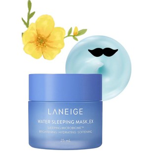 Mặt nạ ngủ dưỡng ẩm LANEIGE WATER SLEEPING MASK 25ml.