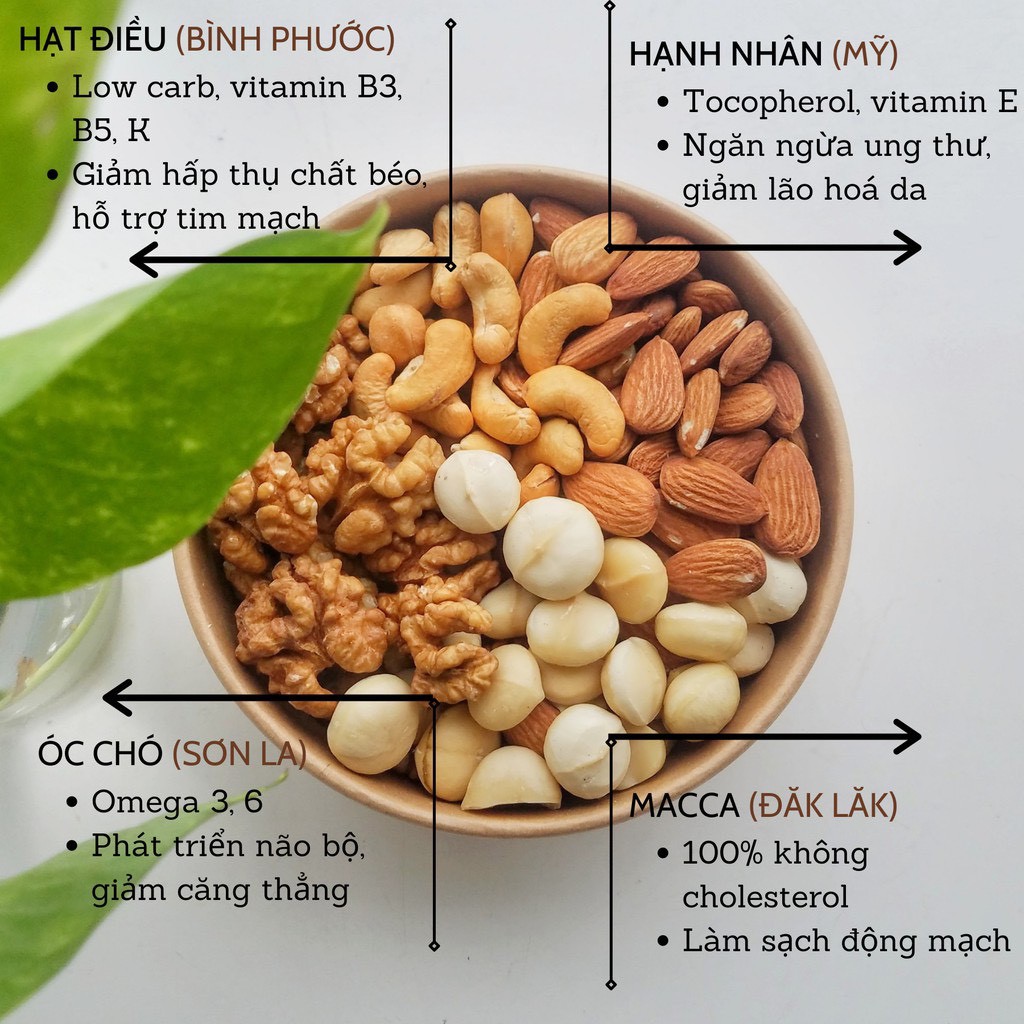 Hạt Dinh Dưỡng Mix 4 Siêu Hạt 600g, Hạt Mix Sấy Nguyên Vị (Macca, Điều, Hạnh Nhân, Óc Chó)