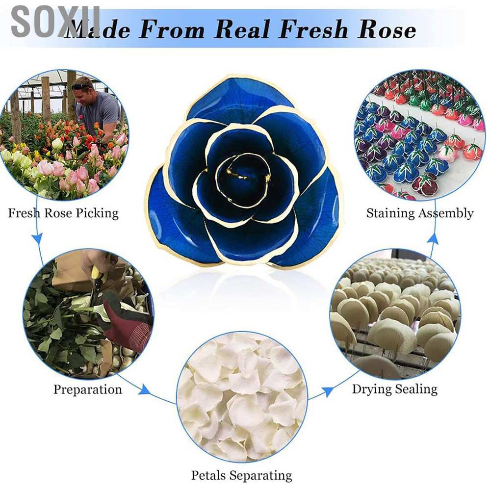 Soxii Real Dipped Blue Rose with Bracket Flower Decoration 24K Gold Plated Green Leaf Gift for Birthday Valentine's Day