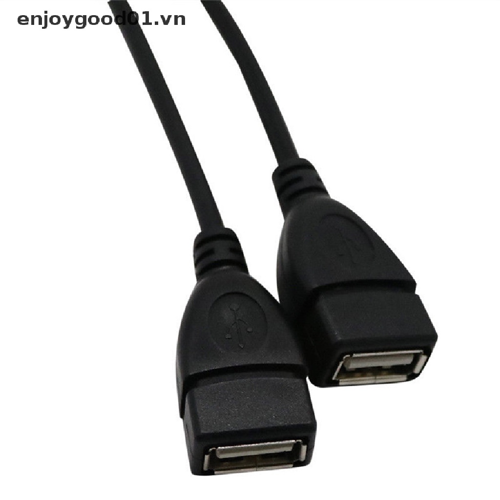 Dây cáp chia 2 cổng USB 2.0 A đầu cắm sang 2 cổng cắm giắc chữ Y chất lượng cao