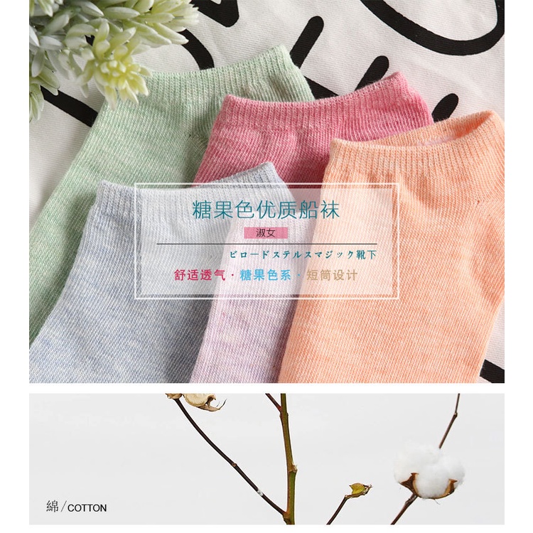Vớ Cotton Cổ Thuyền Màu Sắc Ngọt Ngào Thời Trang Cho Nam Và Nữ
