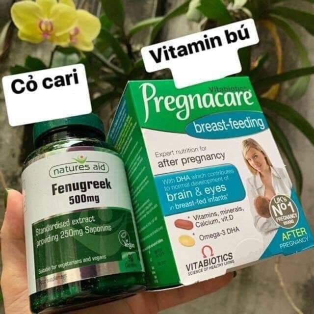 Combo vitamin lợi sữa cho mẹ
