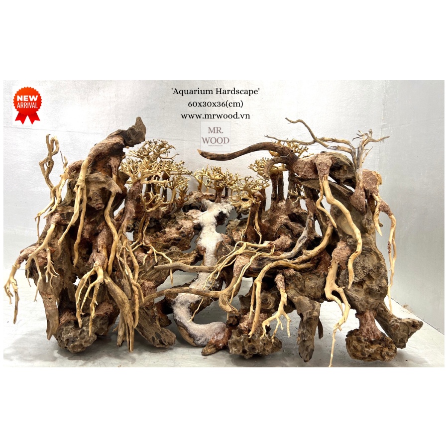 Layout rừng cho  bể thuỷ sinh 60cm- Xưởng Lũa Mr Wood
