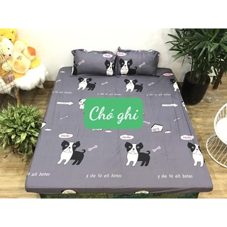 Xả lỗ Bộ ga gối poly giường 1m2 mã m234
