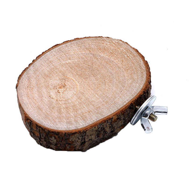 Giá đỡ đứng bằng gỗ hình tròn độc đáo trang trí chuồng chim vẹt