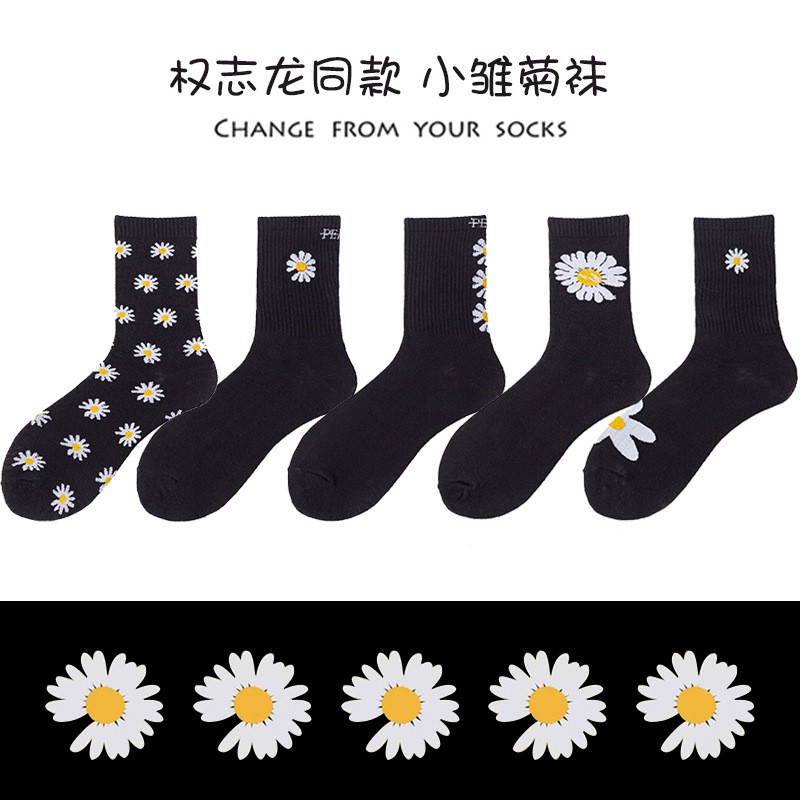 Tất cúc hoạ mi GD peaceminusone VIP GDragon