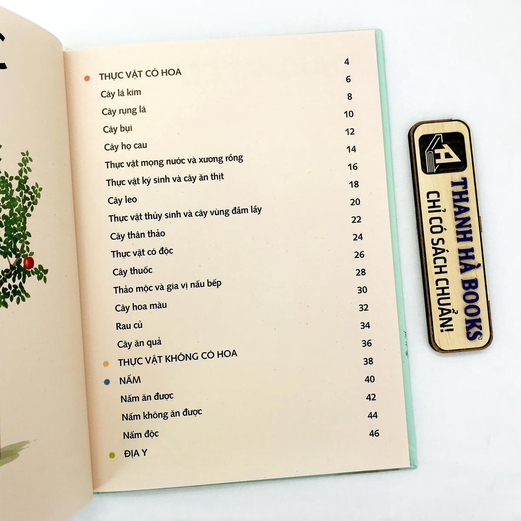 Sách - Bách Khoa Toàn Thư Về Thực Vật, Nấm Và Địa Y  - Phiên bản dành cho giới trẻ