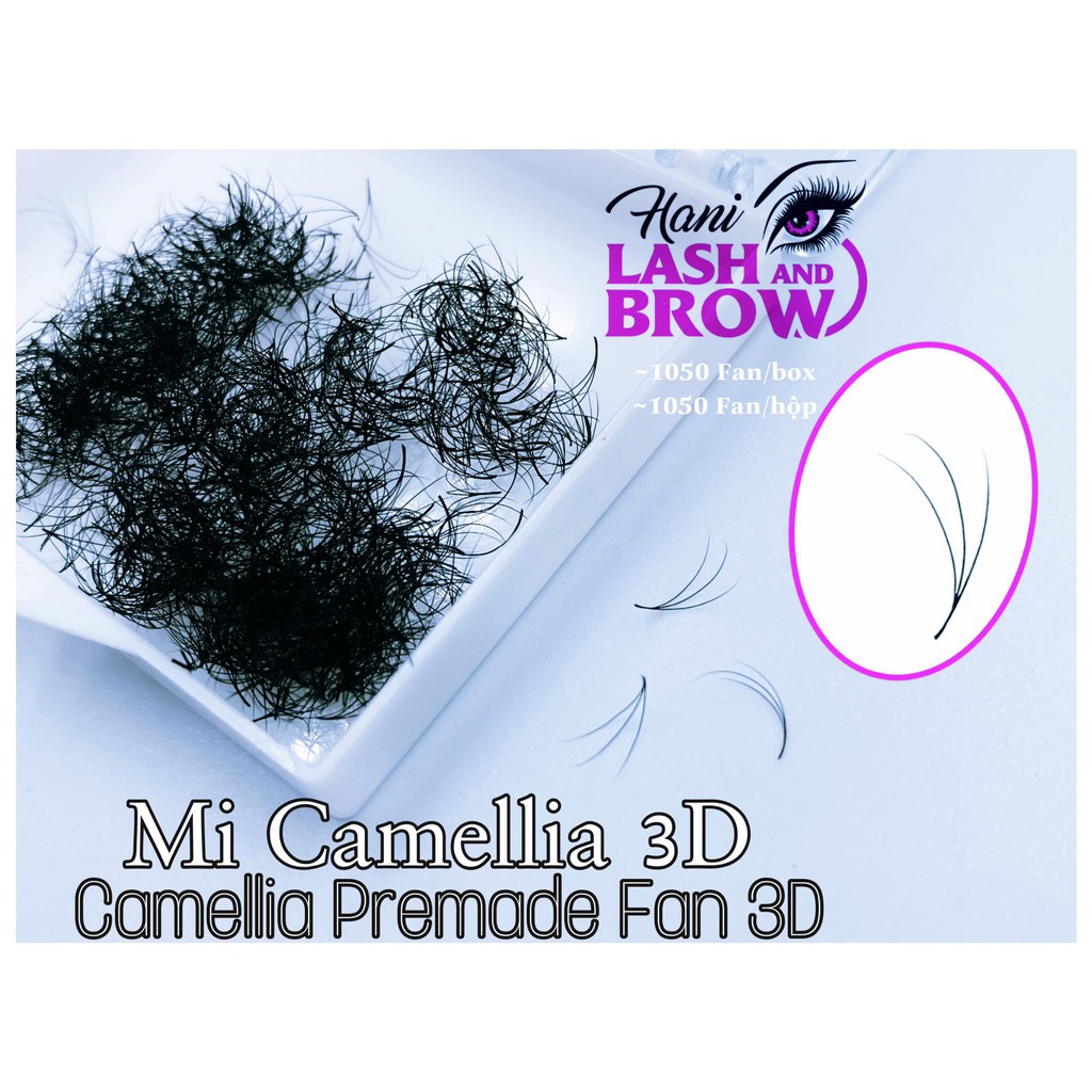 Lông Mi Sole Fan Tay Sẵn - Mi fan Camelia- 3D 4D 5D cong C D LMFT Hani chân keo nhỏ