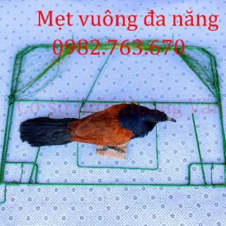 Mẹt đánh quốc bịp....