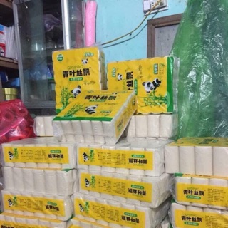 Giays vệ sinh gấu trúc
