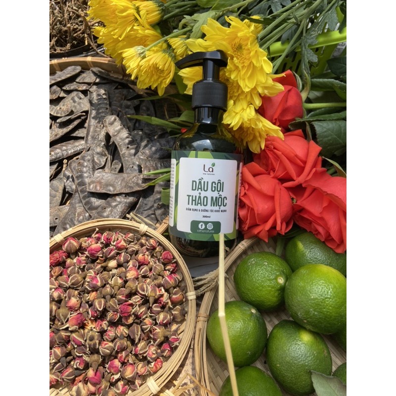 Dầu gội đầu bưởi bồ kết thảo dược thiên nhiên ngăn gàu, rụng tóc, ngứa da đầu, giảm bết tóc. Mọc tóc nhanh dài và khỏe. | BigBuy360 - bigbuy360.vn