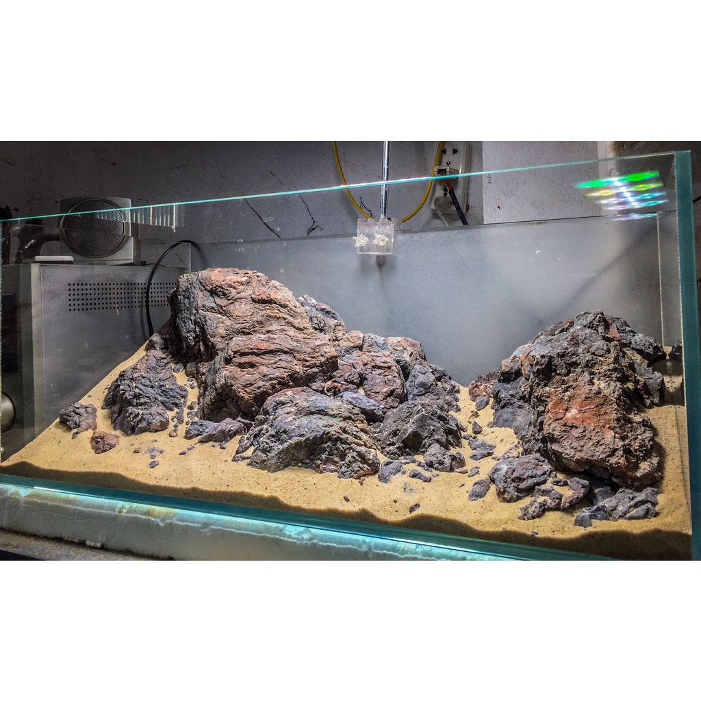 Đá Frodo Siêu Vân | Trang trí Setup Bể Thủy Sinh, Biotope,... | Mua Nhiều Giảm Giá.