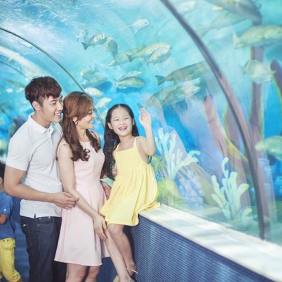 Vé vào cửa tại Thủy Cung Aquarium - Áp dụng cho khách hàng từ 80 cm đến dưới 140 cm (DT)