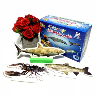 Bộ Thẻ Học Flashcards loại có Đế Đứng giúp Bé Học Trực Quan hơn