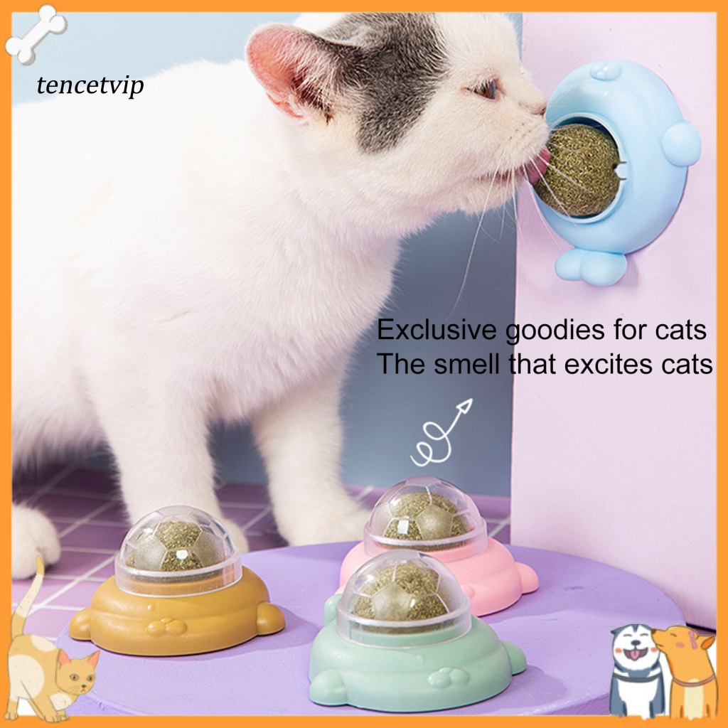 Quả Bóng Catnip Bạc Hà Khô Catnip Có Nắp Đậy Cho Mèo