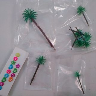 Cây dừa cọ