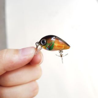 Mồi ruồi 3D, chuyên câu rô phi, cá lóc, cá sộp